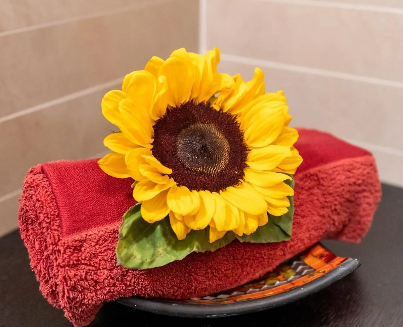Apartamento Appartamento Celio Roma